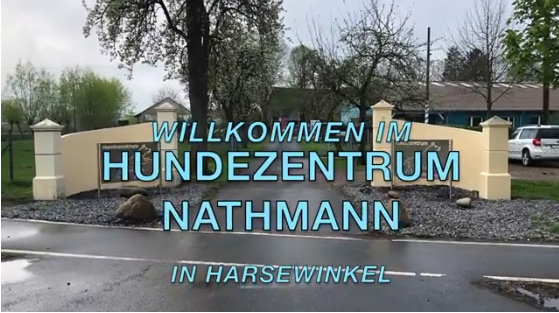 WDR Türöffnertag der Maus im Hundezentrum Nathmann Harsewinkel